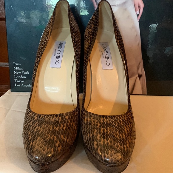Beautiful Designer Snake skin 4 1/2 inch heels, like new condition, Size 41 - Picture 1 of 13